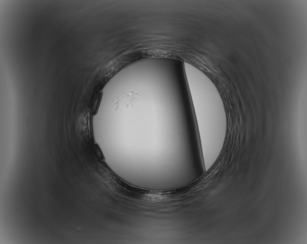 X0000086940425200704161039