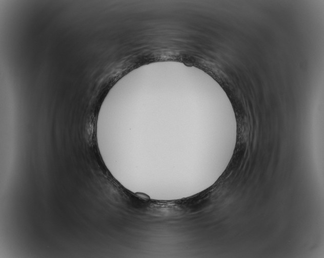 X0000086940427200704161039