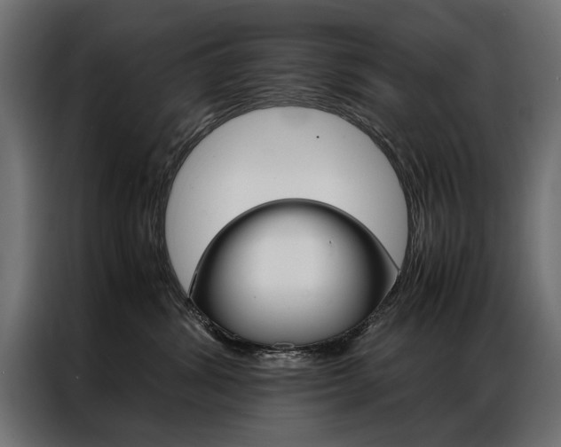 X0000086940428200704161039