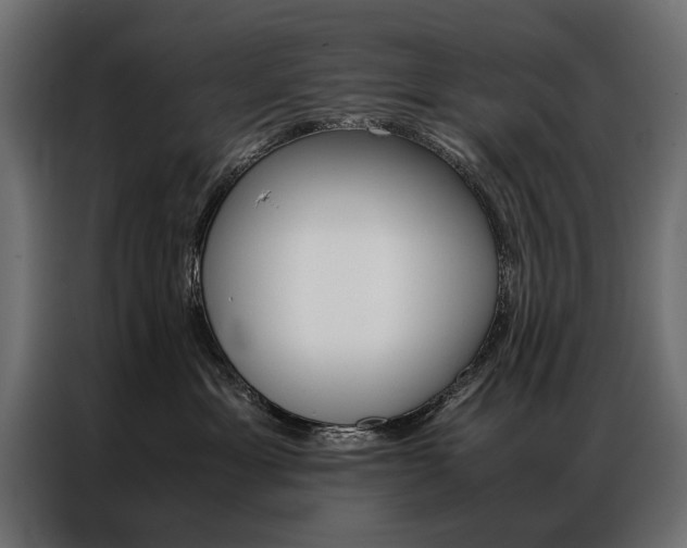 X0000086940429200704161039