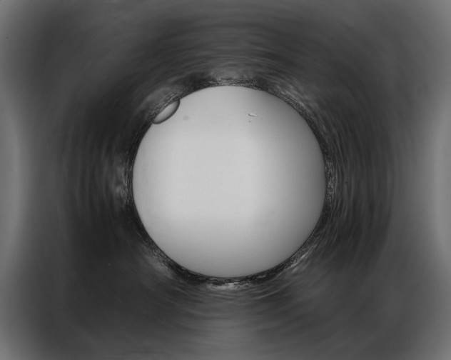 X0000086940430200704161039