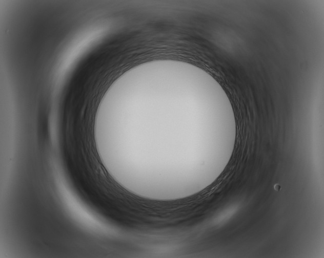 X0000086940431200704161039