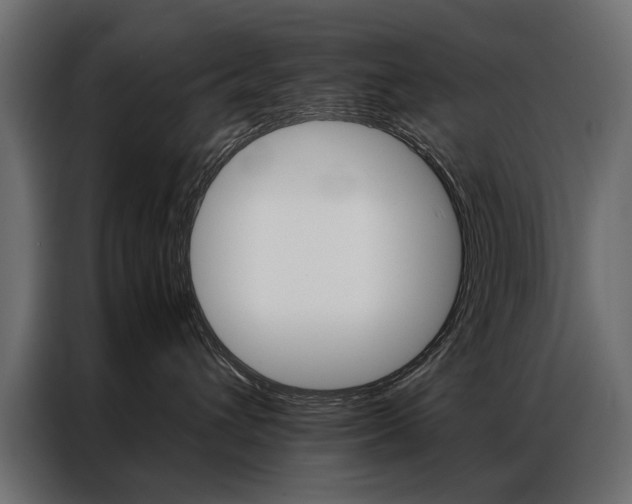 X0000086940432200704161039