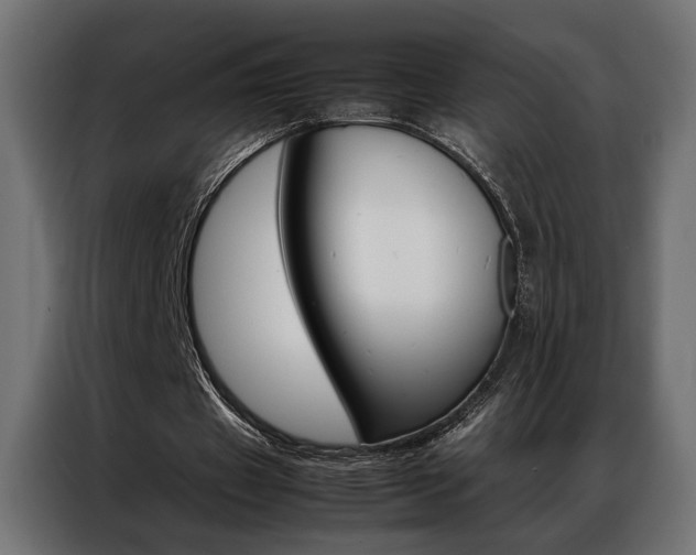 X0000086940433200704161038