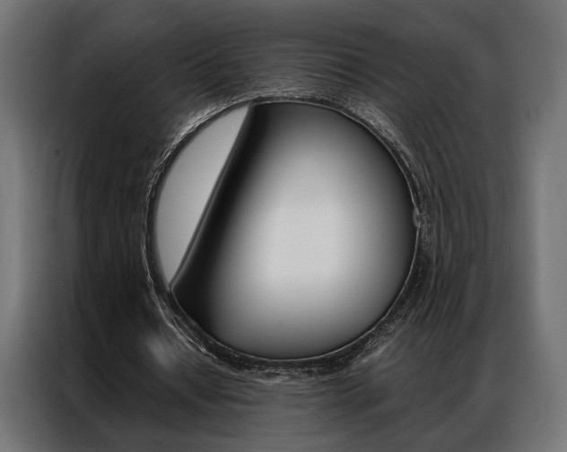 X0000086940434200704161038