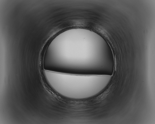 X0000086940435200704161038
