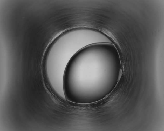 X0000086940436200704161038