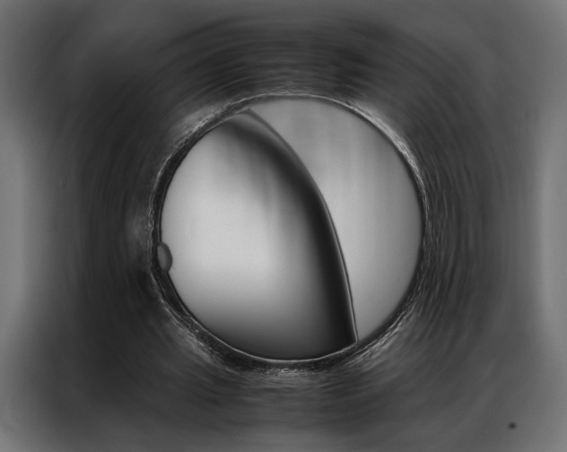 X0000086940437200704161038