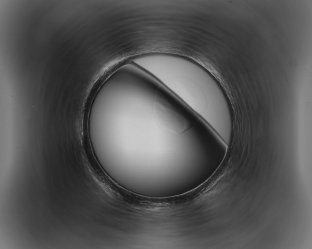 X0000086940438200704161038