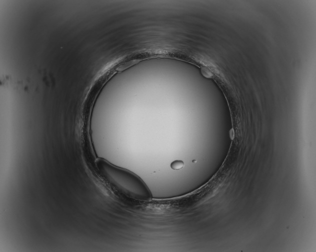 X0000086940440200704161038