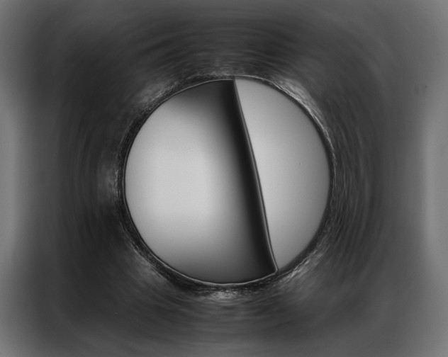 X0000086940441200704161038