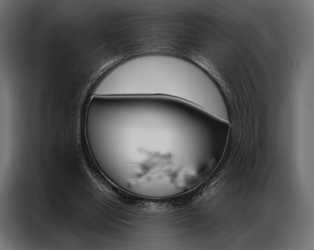 X0000086940442200704161038