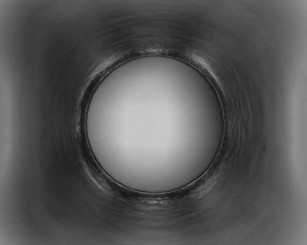 X0000086940443200704161038