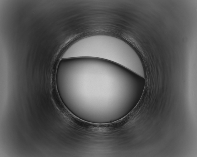 X0000086940444200704161038