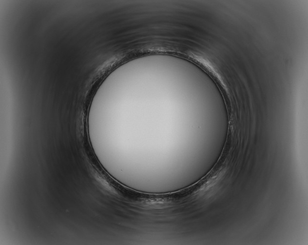 X0000086940445200704161038