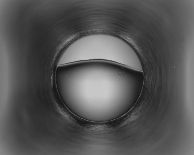 X0000086940446200704161038