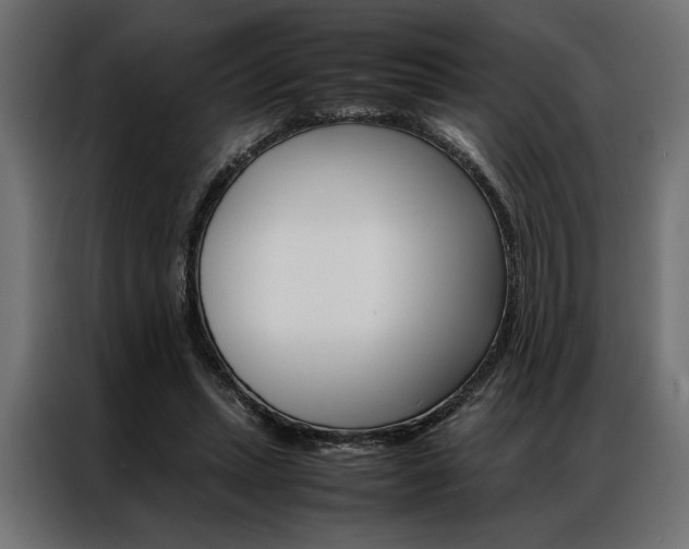 X0000086940447200704161038