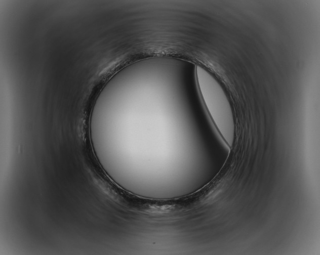 X0000086940450200704161039