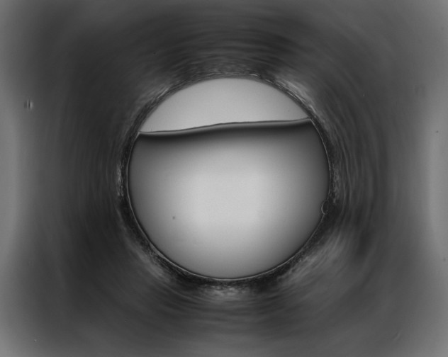 X0000086940453200704161039