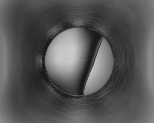 X0000086940454200704161039