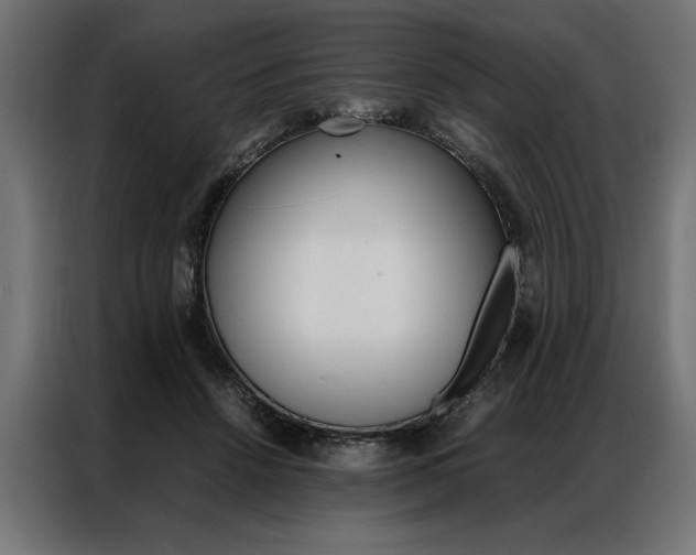 X0000086940456200704161039