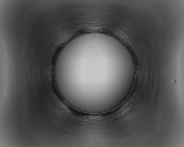 X0000086940462200704161039