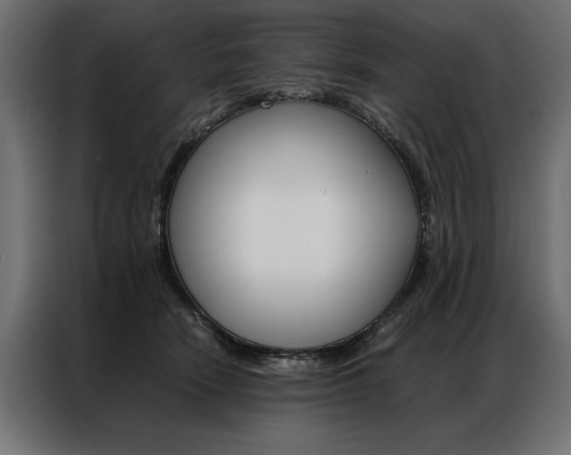 X0000086940466200704161039