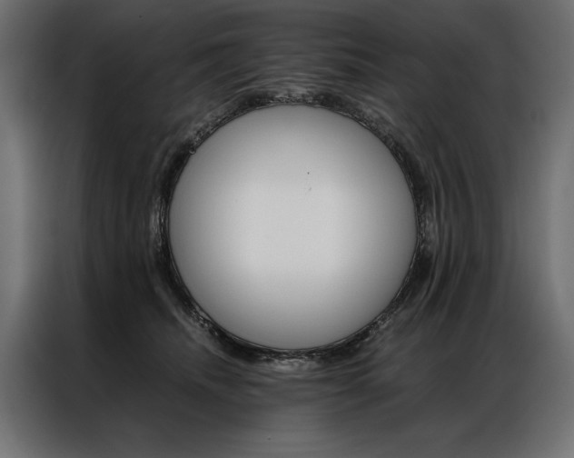 X0000086940468200704161039