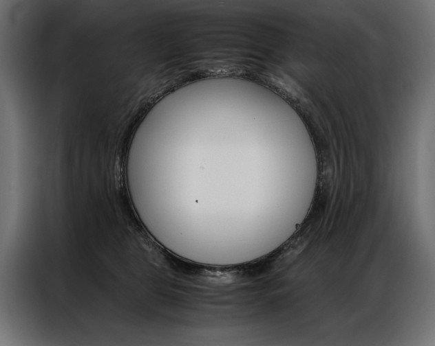 X0000086940469200704161039