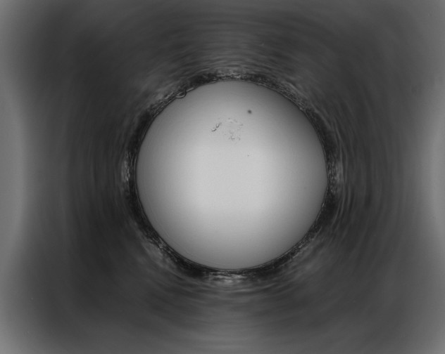X0000086940472200704161039