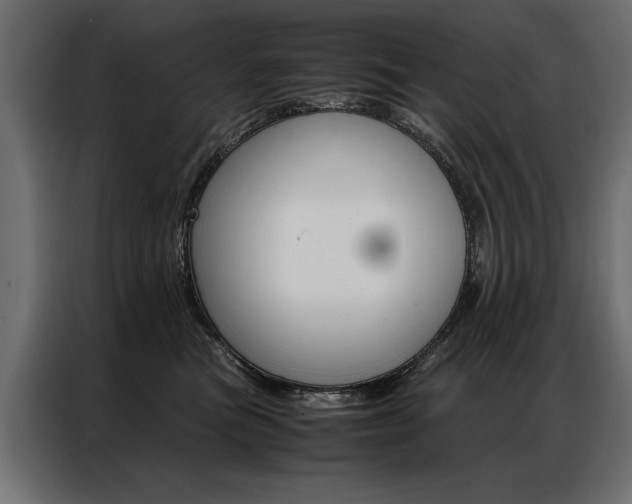 X0000086940473200704161039