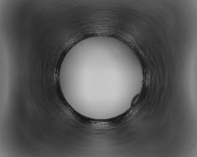 X0000086940476200704161039