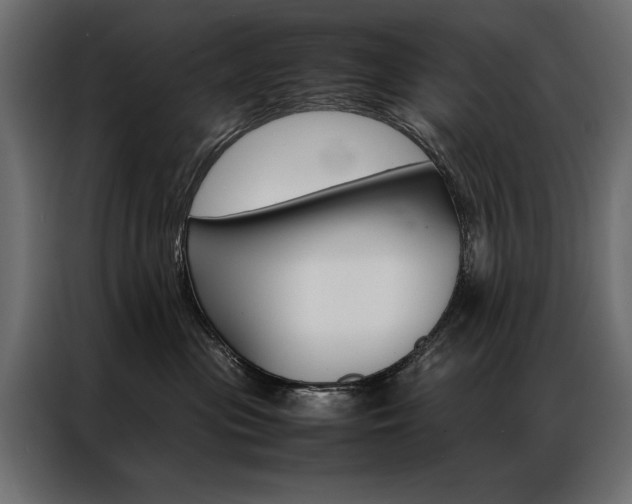 X0000086940477200704161039
