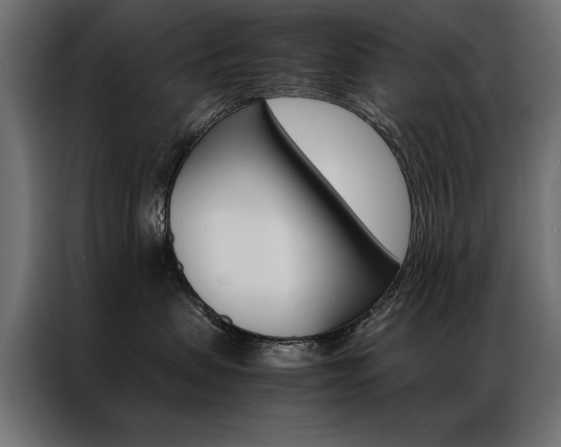 X0000086940479200704161039