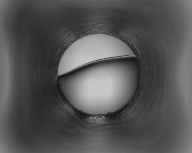 X0000086940480200704161039