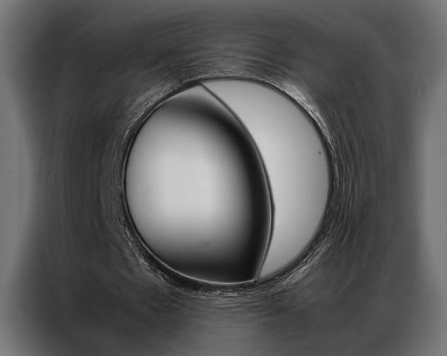 X0000086940481200704161038