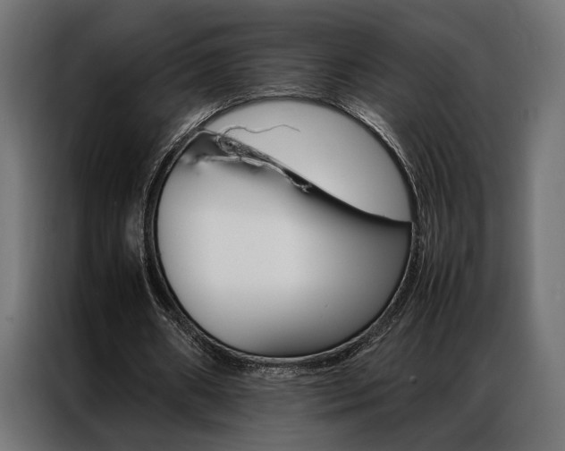 X0000086940482200704161038
