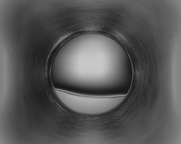 X0000086940484200704161038