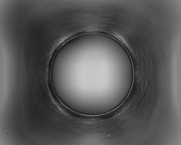 X0000086940485200704161038