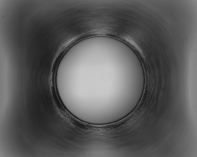 X0000086940486200704161038