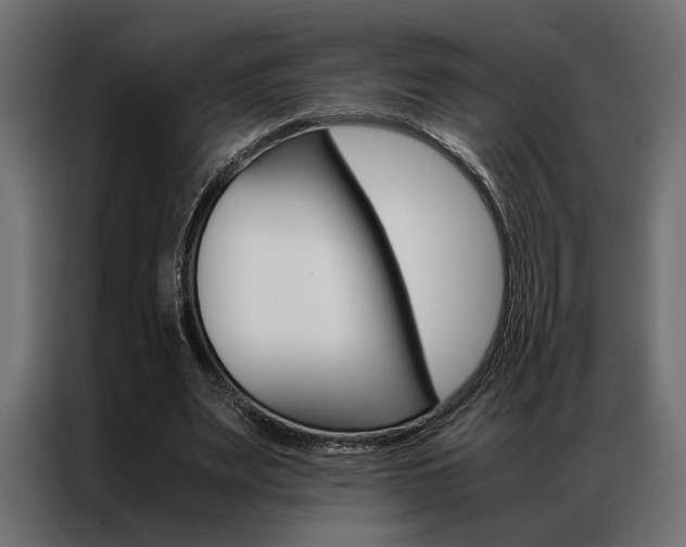 X0000086940487200704161038