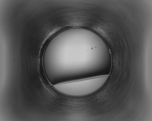 X0000086940488200704161038