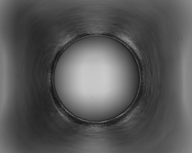 X0000086940489200704161038