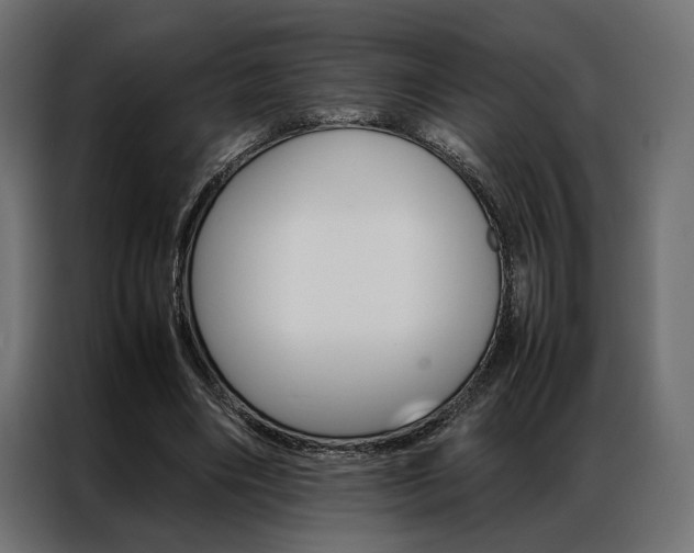 X0000086940490200704161038
