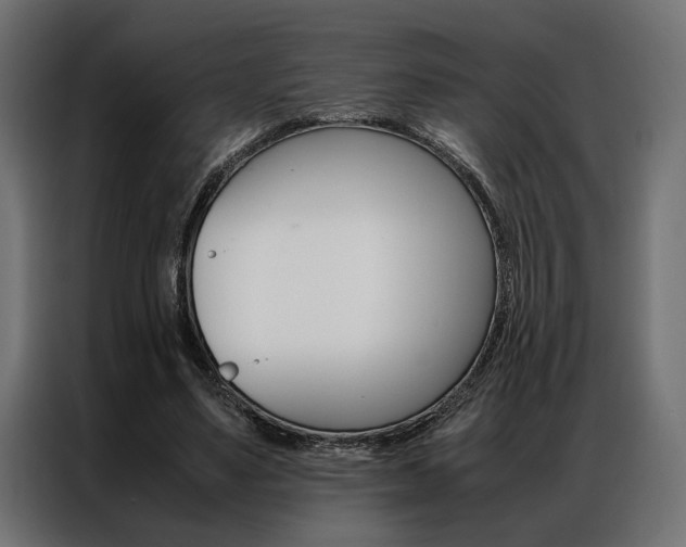 X0000086940491200704161038