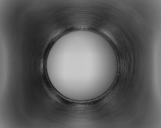 X0000086940494200704161038