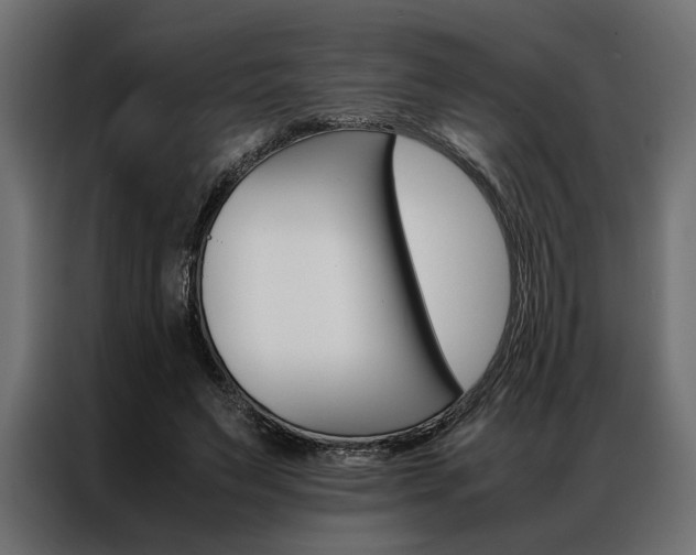 X0000086940495200704161038