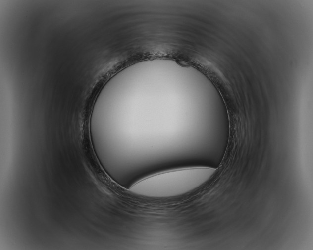 X0000086940496200704161038