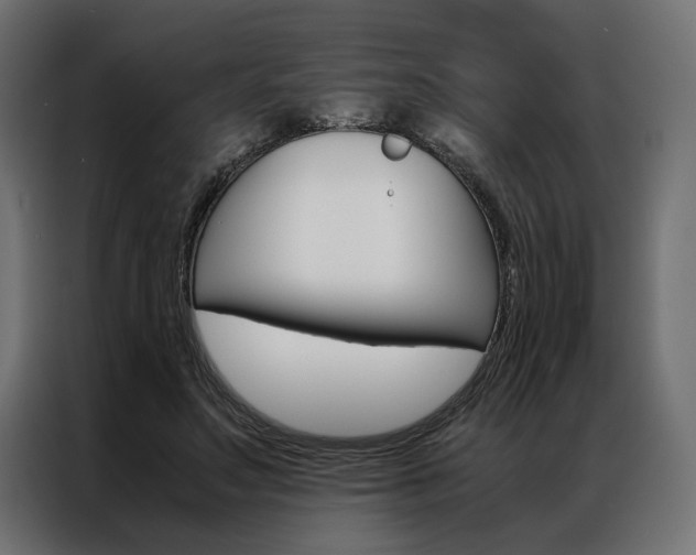 X0000086940499200704161038
