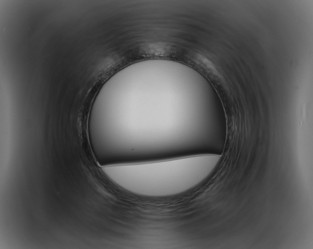 X0000086940500200704161038